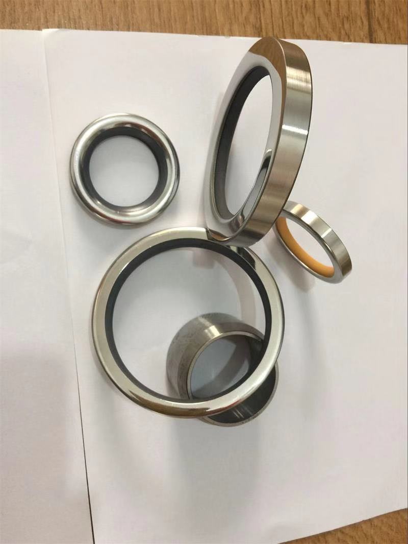 不锈钢一正一反油封